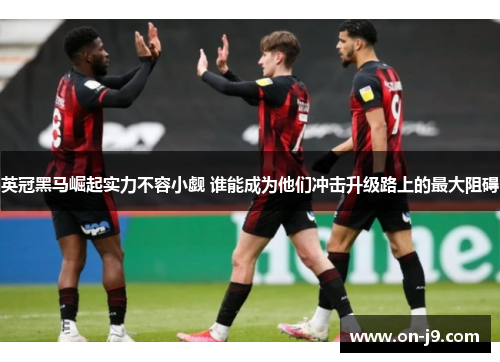 英冠黑马崛起实力不容小觑 谁能成为他们冲击升级路上的最大阻碍 英冠黑马崛起实力不容小觑 谁能成为他们冲击升级路上的最大阻碍